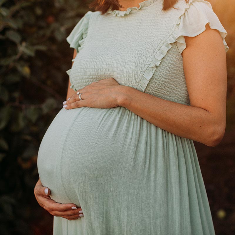 Surrogacy Help Albany New York